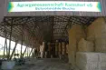 Feldscheune der Agrargenossenschaft