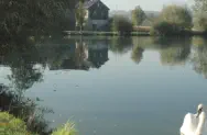 Dorfteich